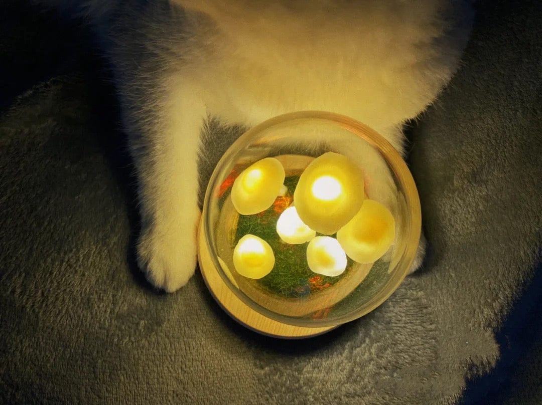 DIY Paddenstoel Lamp – Glas en Hout, Creatieve Verlichting voor Woonkamer of Slaapkamer