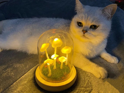 DIY Paddenstoel Lamp – Glas en Hout, Creatieve Verlichting voor Woonkamer of Slaapkamer