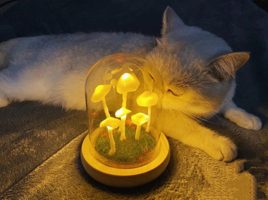 DIY Paddenstoel Lamp – Glas en Hout, Creatieve Verlichting voor Woonkamer of Slaapkamer